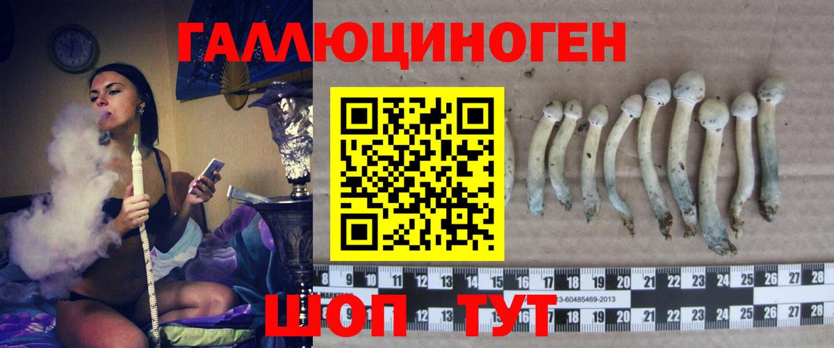 Галлюциногенные грибы Cubensis  где можно купить наркотик  Сунжа  Вход с VPN 
